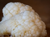 Stäublings-Schleimpilz (Enteridium lycoperdon) Plasmodium weiß  zu 10 cm